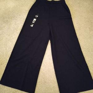 Banana Republic Wide Leg Pant